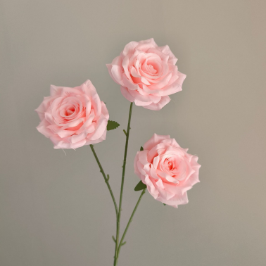 Noyau Diamant Rose-Rose-66cm