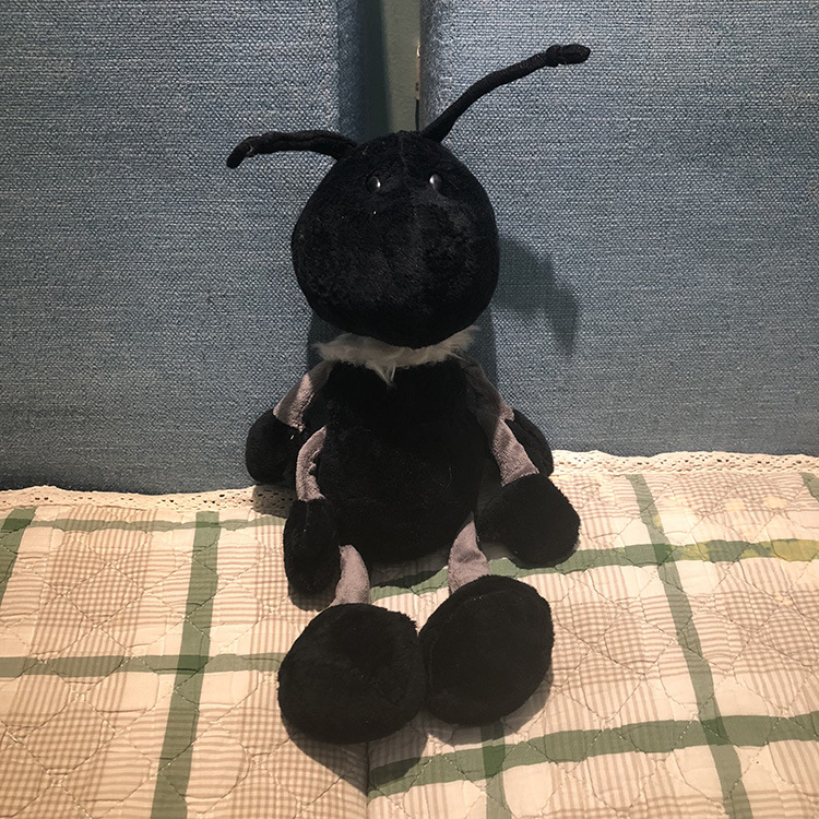 Formica nera