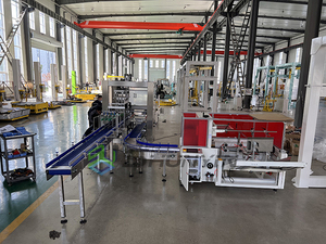 <strong>Robotic</strong> Case Packer <strong>Machine</strong> with Vision <strong>System</strong> for Precise Positioning and Gentle Product Handling - Product Image 2