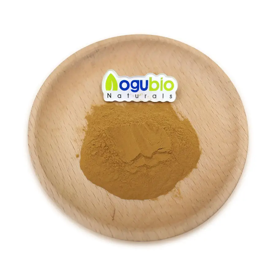 High quality Ginkgo Biloba Extract 24% Flavones 6% Lactones 24% flavones ginkgo biloba leaf extract powder
