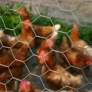 Горячая Распродажа оцинкованная Шестигранная проволочная сетка для цыплят маленькая проволочная оплетка для животных из кроличьей проволоки сетка для забора курицы для продажи - Product Image 4