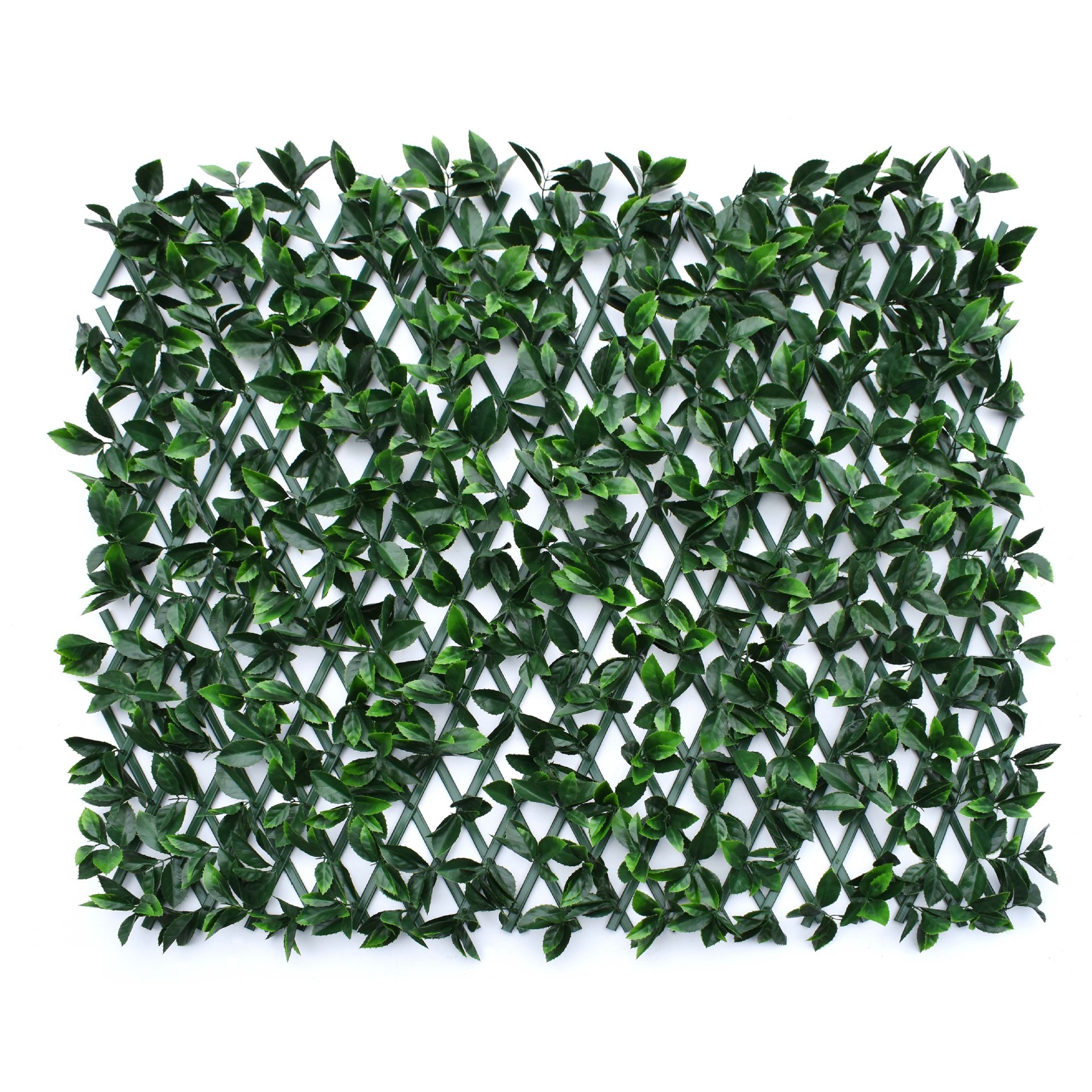 Valla de hojas de gardenia