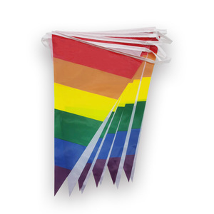 Banderines de cuerda triangular LGBT con bandera de arcoíris personalizada, exhibición del Orgullo Gay hecha de vinilo plástico de seda y poliéster duradero - Product Image 1