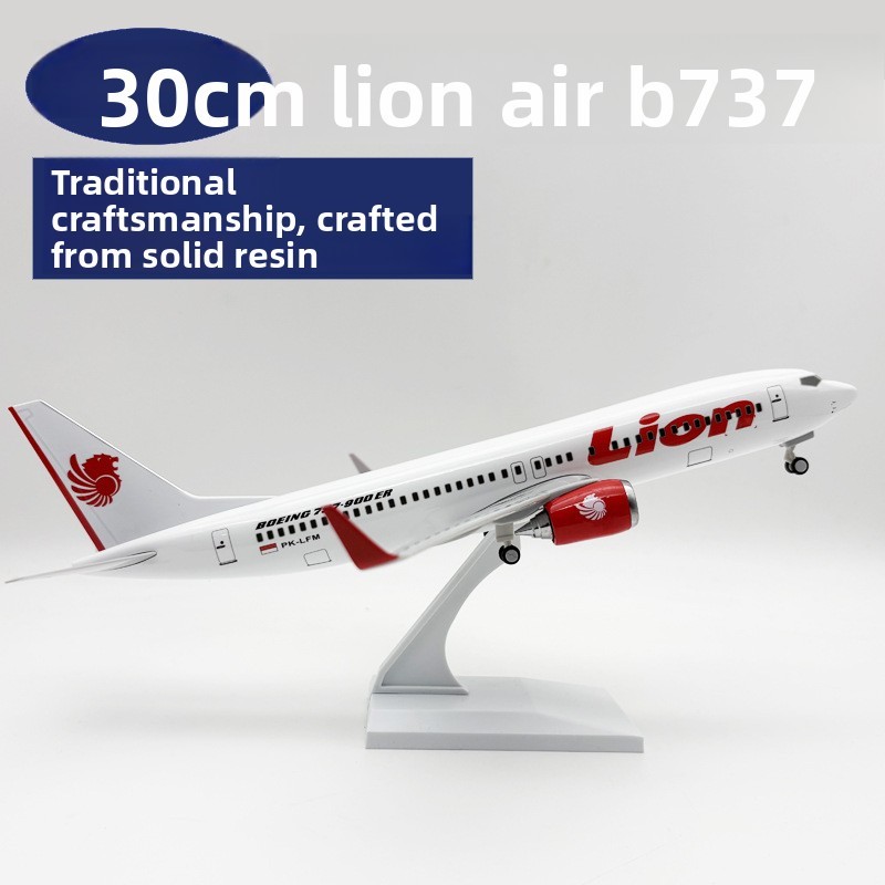 Lion air 30cm b737