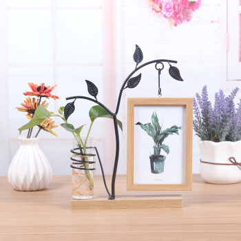 Versión hidropónica-árbol pequeño A