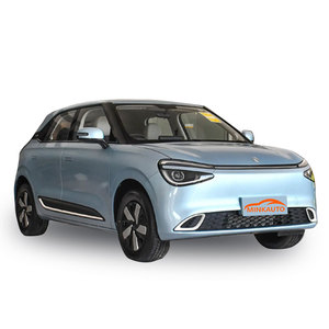 Dongfeng รถนาโน01 2024 Lite Air PLUS รุ่นเล็กรถมินิในสต็อก - Product Image 6