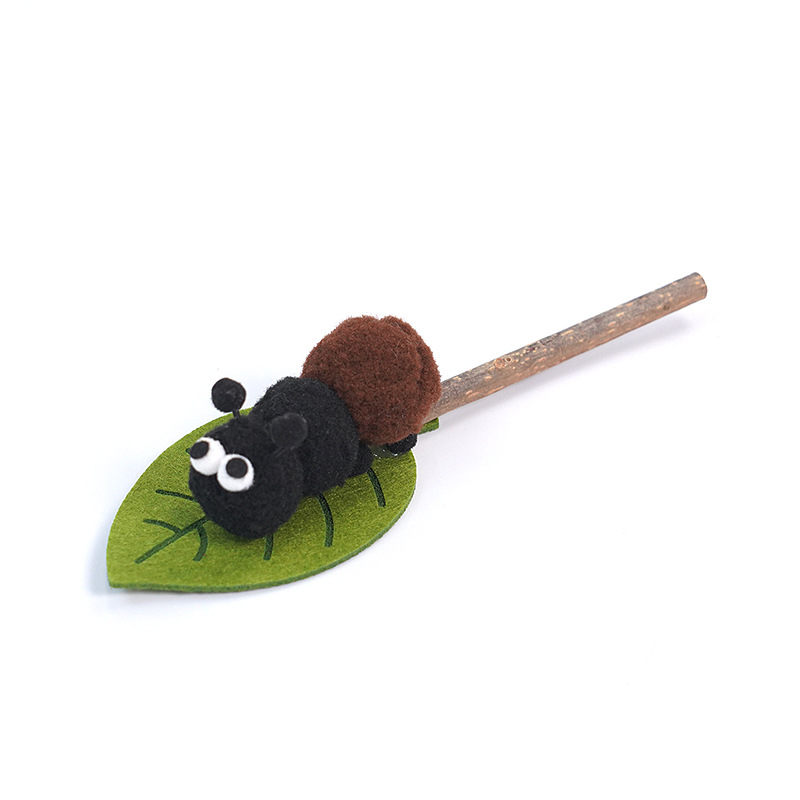 Ant