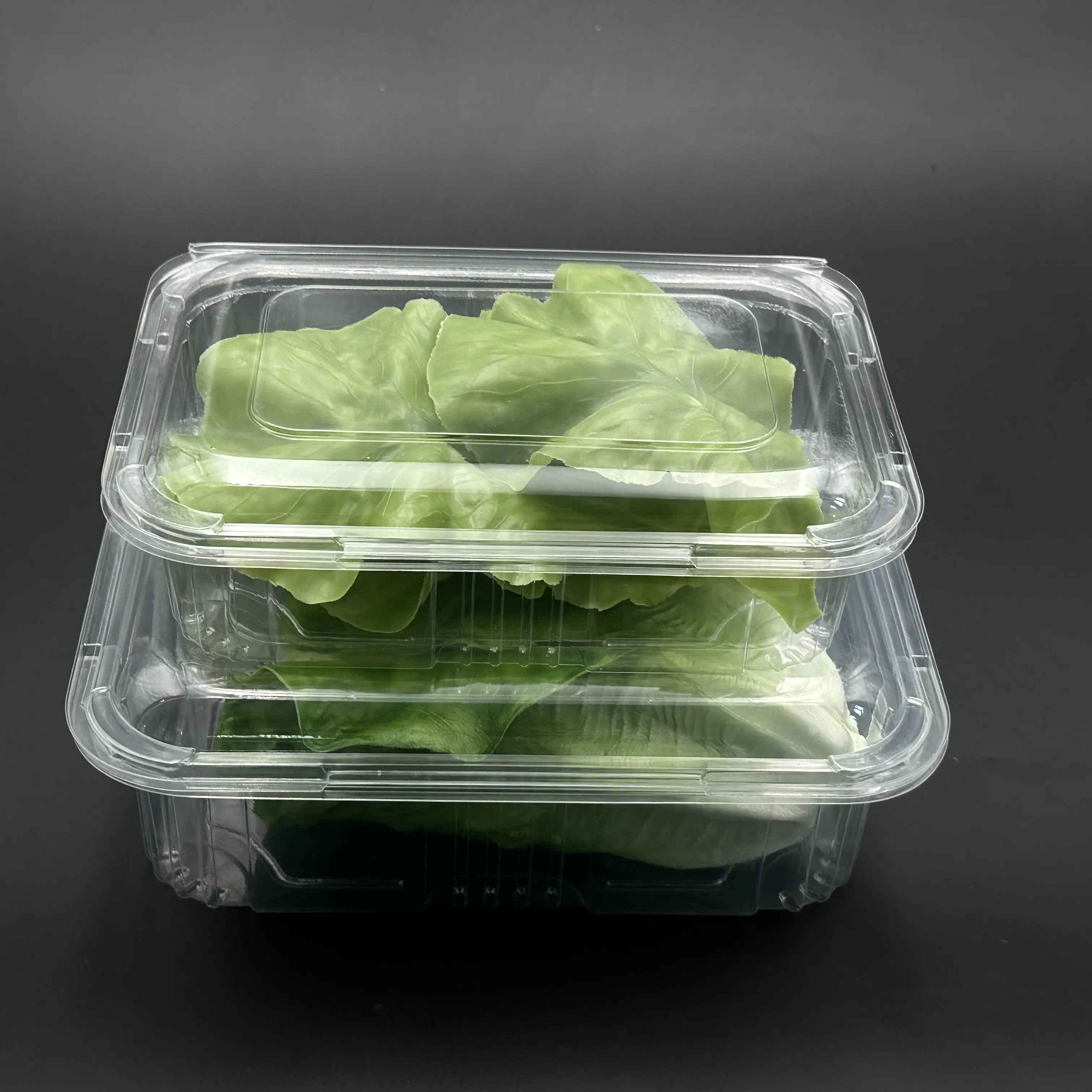 Rau diếp tươi trái cây bao bì dùng một lần vỏ sò Takeaway container nhựa hộp thực phẩm