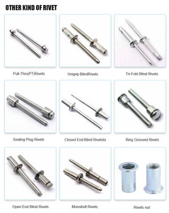Factory Direct Sales China Hotsale <strong>Rivet</strong> 1mm Pop <strong>Rivet</strong> Aluminum Blind <strong>Rivet</strong>