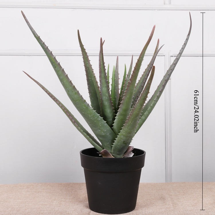 61cm(24.02in)