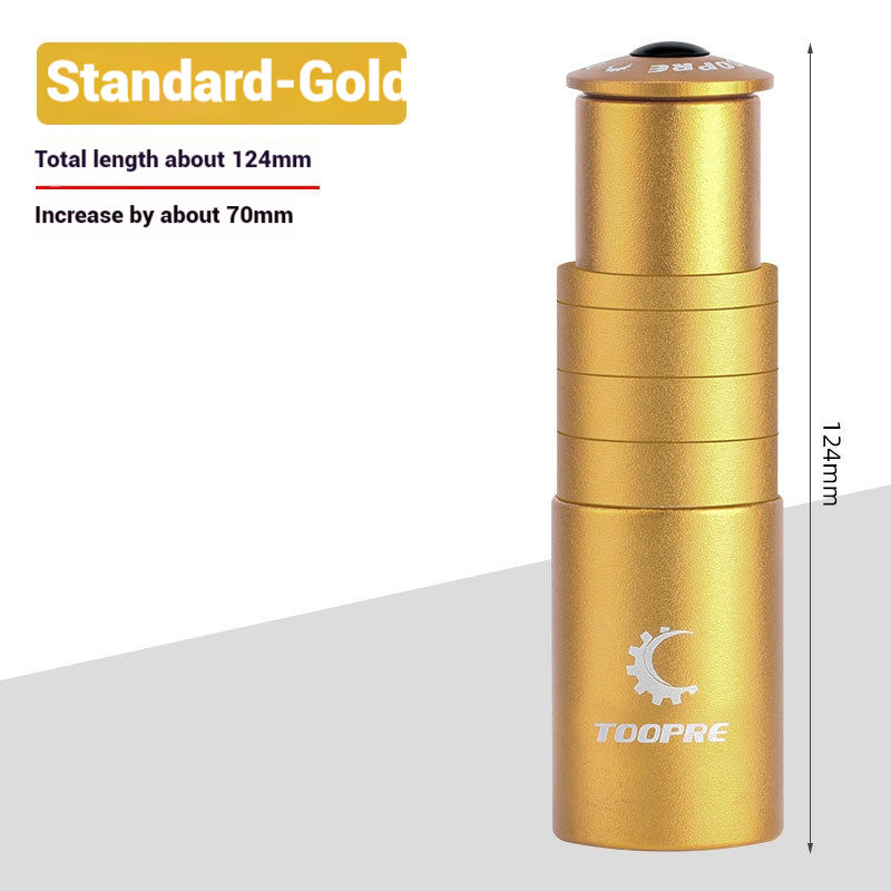 Placer Gold-Modèle standard