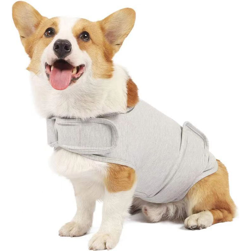 สีเทาอ่อน