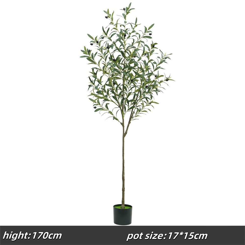 160cm thick rod olive tree, h style