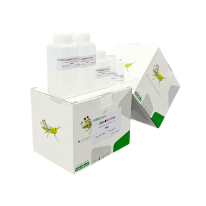 Lignin peroksidaz (dudak) aktivite testi kiti - Product Image 3