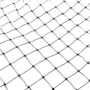 Fabrika Outlet 50mm Mesh geçirmez netleştirme tarım koruma anti-kuş ağı pirinç alan için - Product Image 2