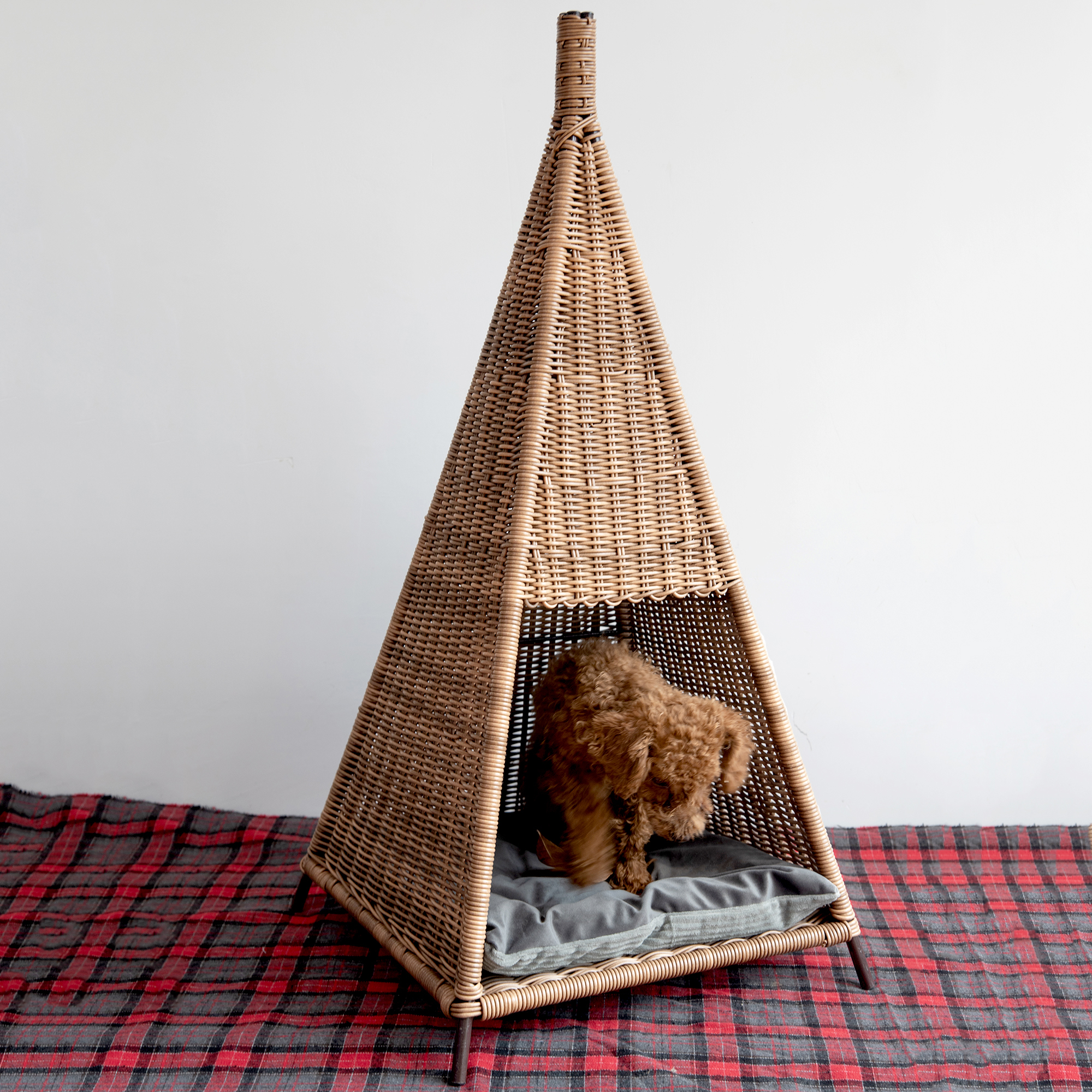 Panier pour animaux de compagnie