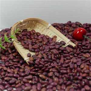 <strong>India</strong> Market Dark Red <strong>Kidney</strong> Bean Type Dried Small Red <strong>Kidney</strong> Bean - Product Image 6