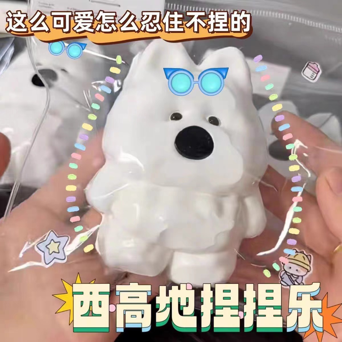 Chiot aux lunettes de soleil brillantes