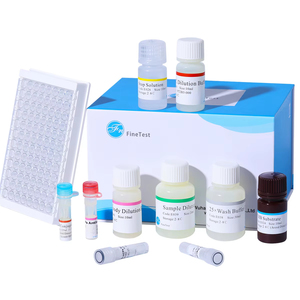 FineTest özel insan LEP ELISA seti bilimsel araştırma Leptin test kiti hızlı test kimyasal reaktifler - Product Image 1