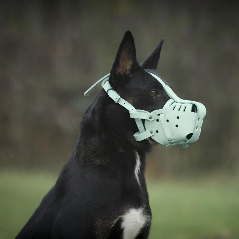 Museruola per cani in pelle bianca