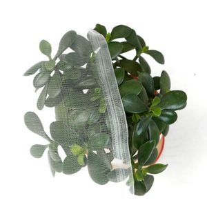 HDPE防虫ネットプルーフネット農業使用プルーフネット - Product Image 2