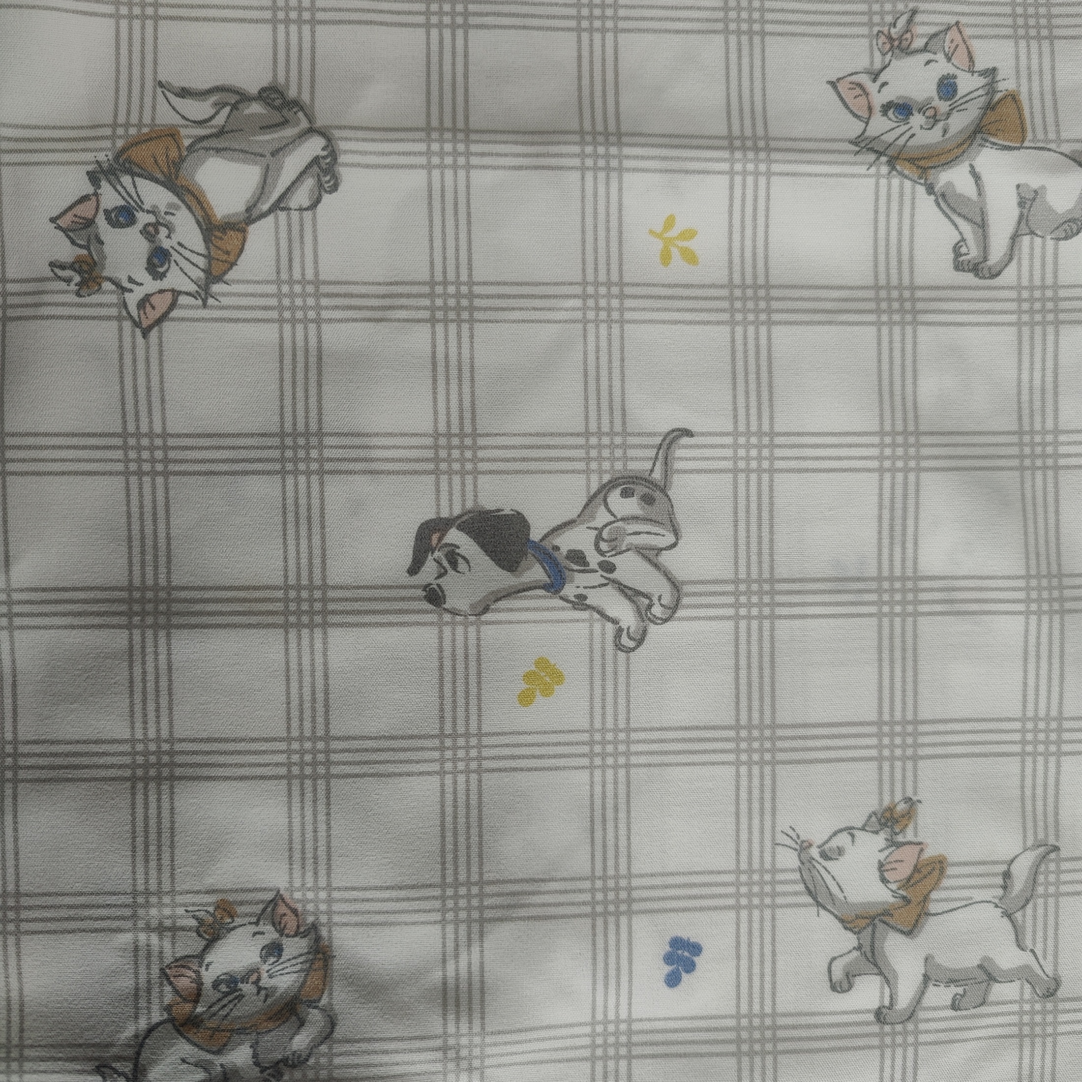 Gris