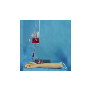 BIX-FS5 Anatomical Arm Vein Puncture Model <strong>Human</strong> Body Simulation for Medical Training for Medical Schools and Medical Science - Product Image 1