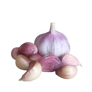 大蒜出口商中国供应天然大蒜/Ajo/Alho 4.5厘米-6.5厘米纸箱/袋包装出口质量