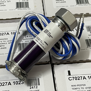 Sensor UV C7027A1023 C707A1049 C7027A1072 C7027A1080 Detector de llama para programación PLC en Stock