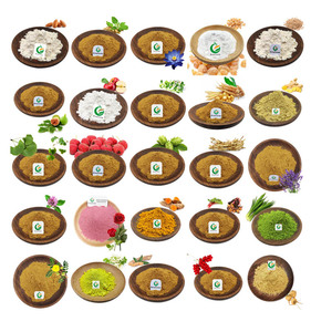 Fruiterco Plantenextract Bulk Natuurlijke Psyllium Zaad Kaf Extract Poeder - Product Image 6