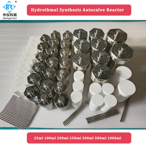 Lab Chemical <strong>PTFE</strong> or PPL Lined Micro Hydrothermal Autoclave Reactor <strong>Small</strong> 25mL 50mL 100mL 200mL 250ml 500mL - Product Image 6