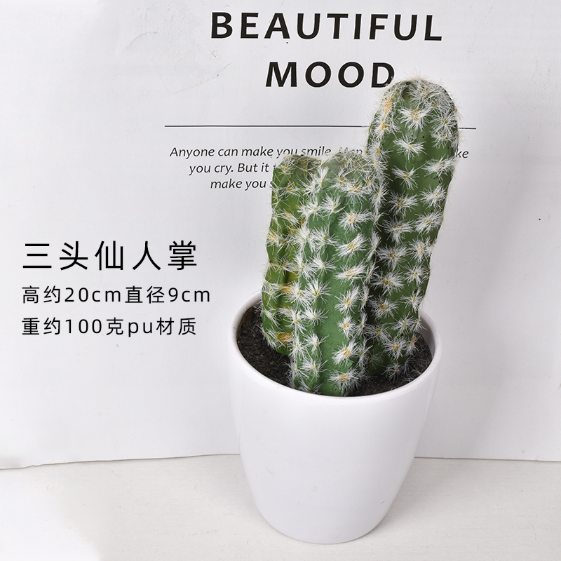 Cactus à trois têtes