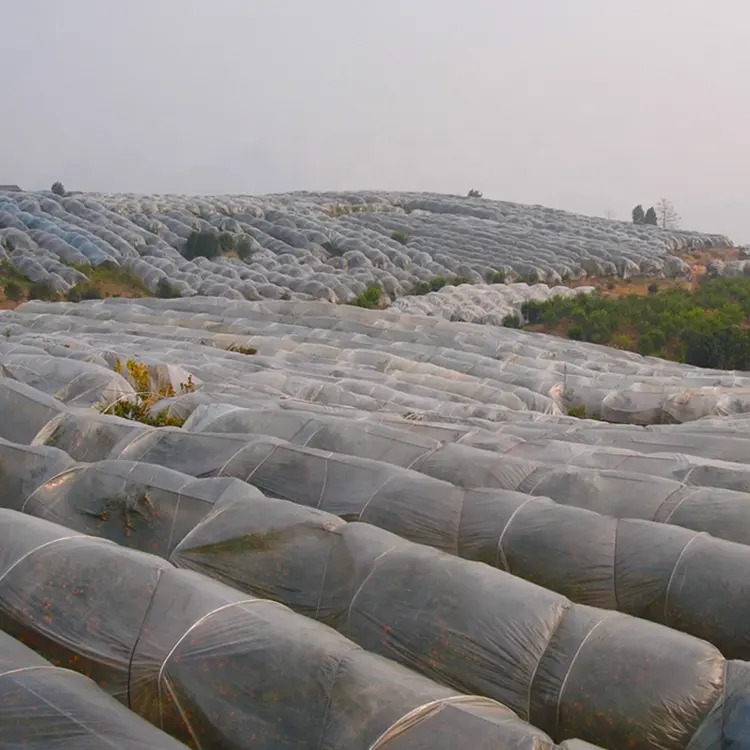 Cubierta de cultivo ligero de 17-50gsm, cubierta de hilera flotante para protección de plantas, cubierta contra escarcha, Canadá y EE. UU.