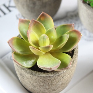V-3025 Giá Rẻ Mini Nhân Tạo Cây Mọng Nước Để Trang Trí Bàn - Product Image 5