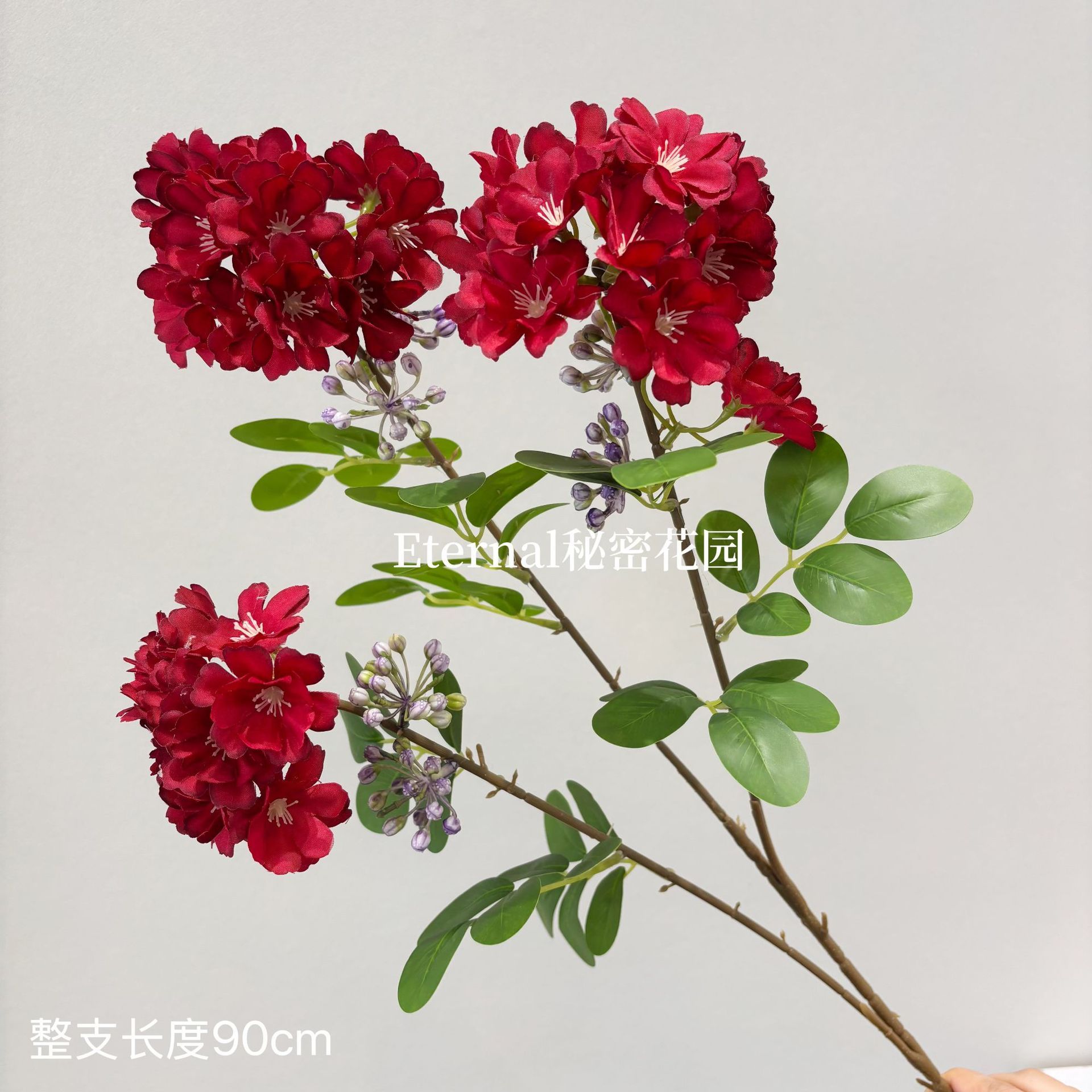 Hortensia