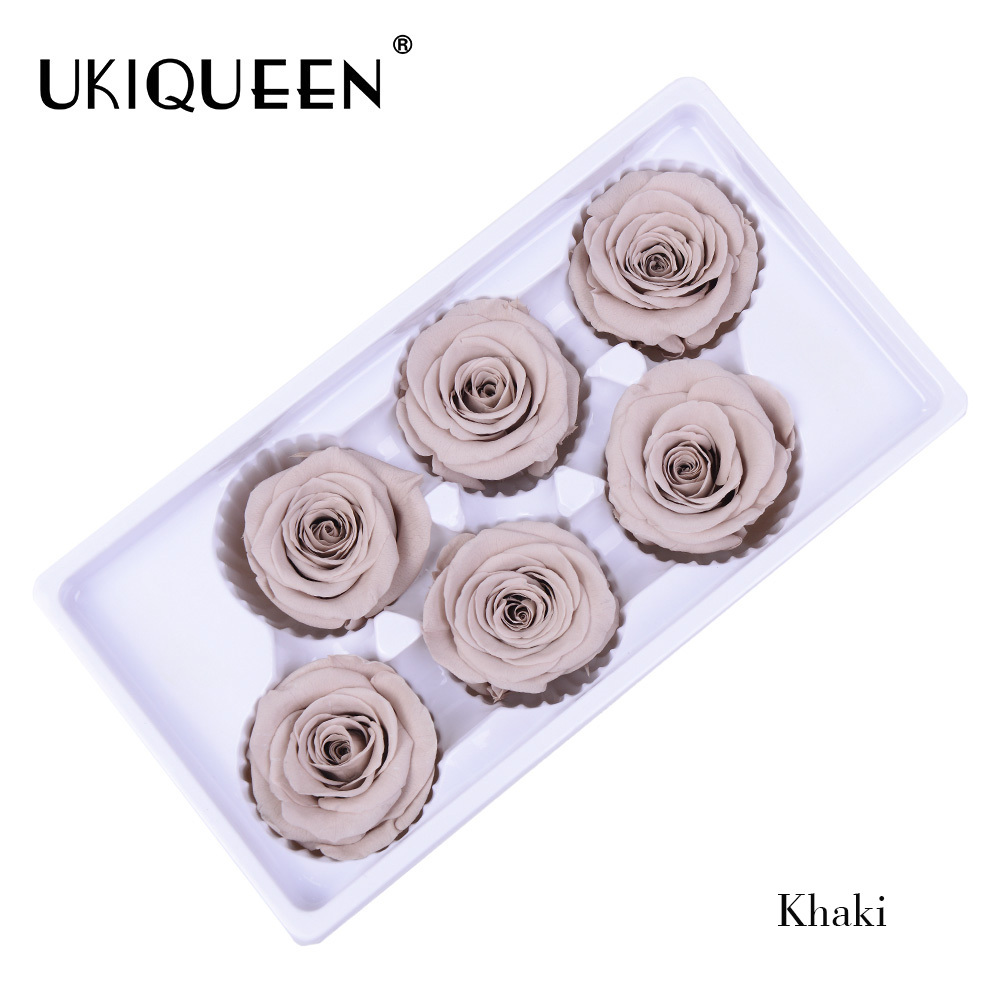 09 kaki