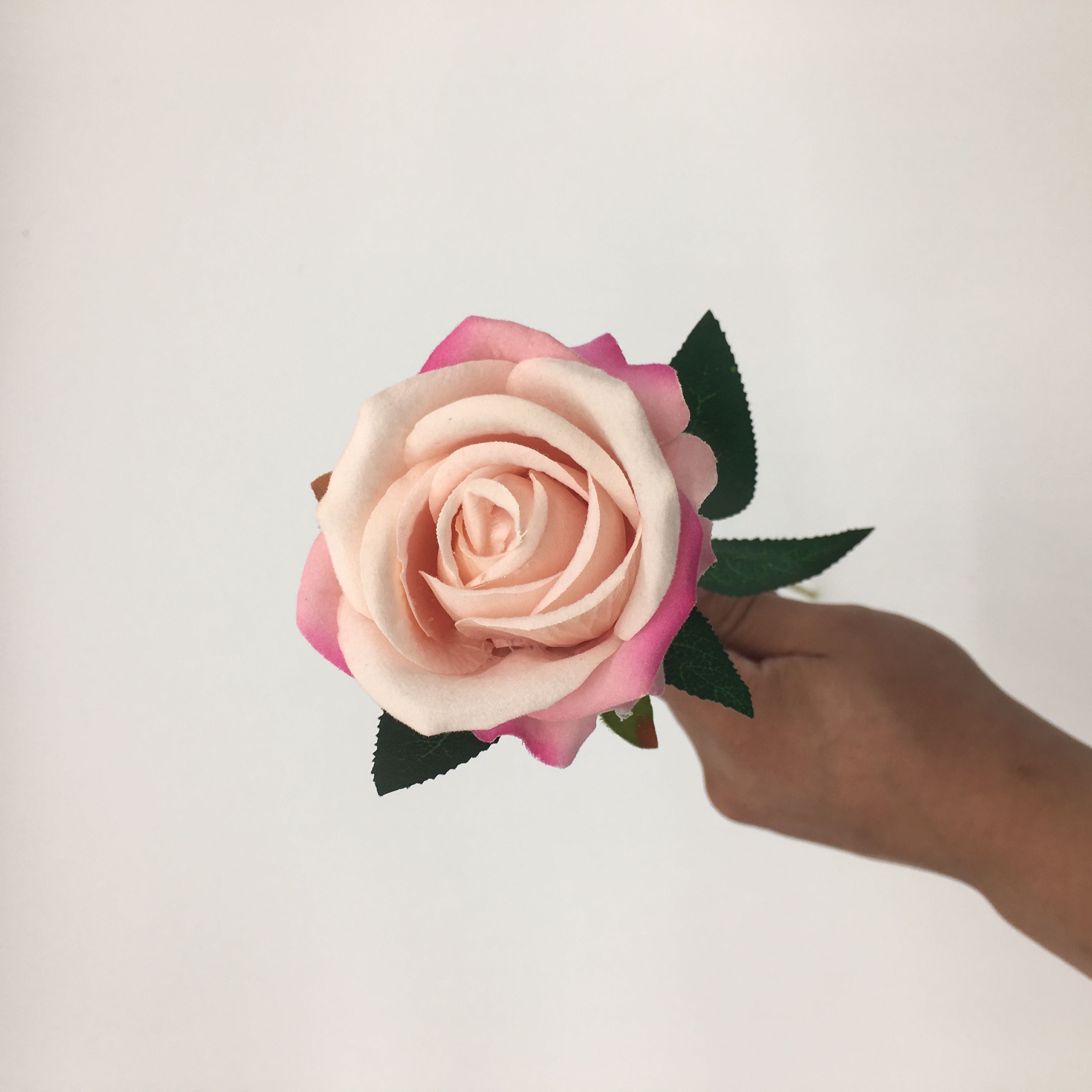 Pink 5