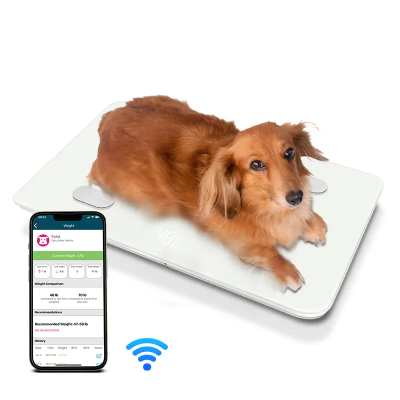 ราคาที่ดีที่สุดความแม่นยําสูง 30 กก.บลูทูธอิเล็กทรอนิกส์ลูกสุนัขสัตว์เลี้ยงไขมัน Scale ดิจิตอล WiFi สัตว์เครื่องชั่งน้ําหนัก