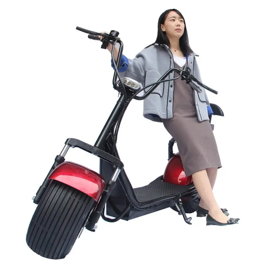 CE cee COC approuvé 36V 300W Tricycle électrique cyclomoteur trois roues mobilité Scooter pliable électrique mobilité Scooter avec 10