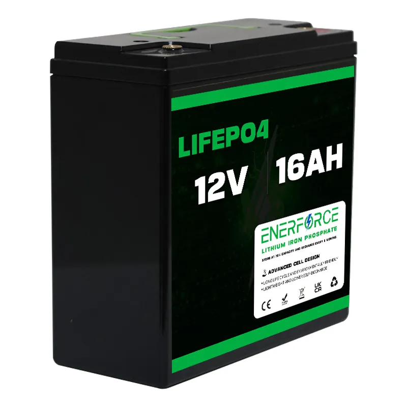 Enerforce 16Ah 12V Lifepo4 बैटरी पैक लिथियम लौह फॉस्फेट बैटरी Bulit-में ऊर्जा के लिए बीएमएस Lifepo4 पैक बैटरी भंडारण