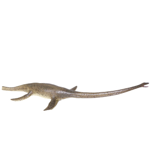 32cm Solid Mosasaurus Model PVC Dinosaur New 2024 Toy - Product Image 5