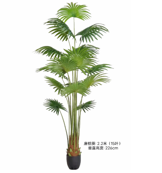 220cm