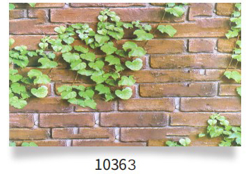 10363