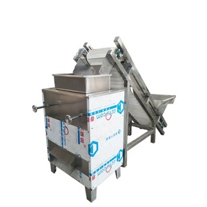 Pelador de granos de coco tostado, máquina para procesar la eliminación de carcasa, 50 KG/H - Product Image 3
