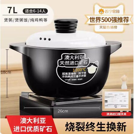 Cuisinière en céramique de grande capacité de 7 L pour préserver la santé avec couvercle Panda