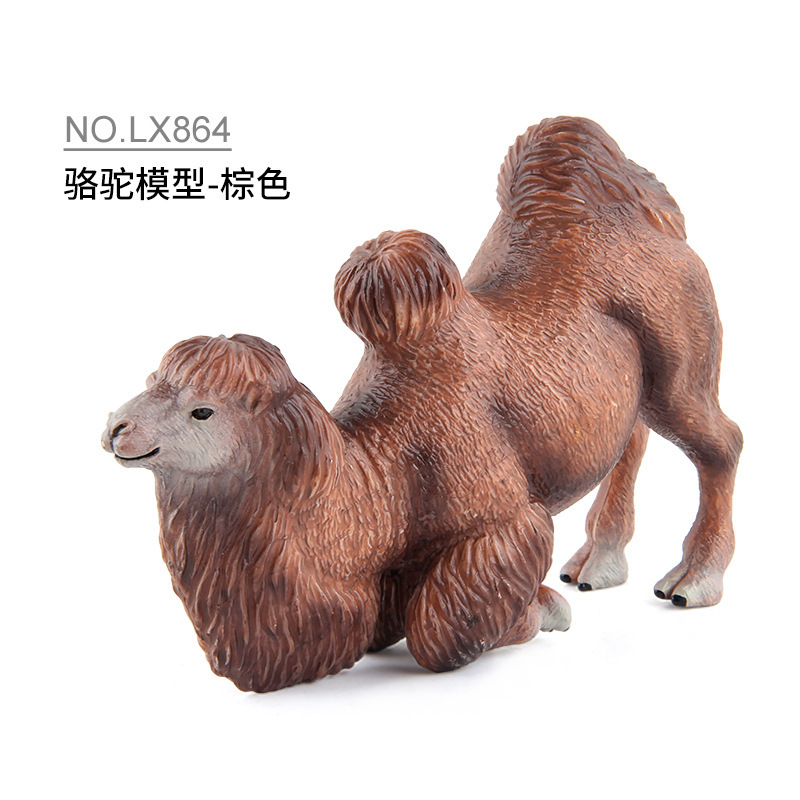 colorful LX864 brown camel 262.6g