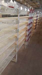 Fabrika fiyat 6 katmanlı plastik kuş kafesi toplamak sistemi ile 350 quaquaHJ-QC400B - Product Image 6