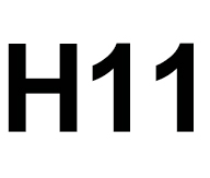 H11