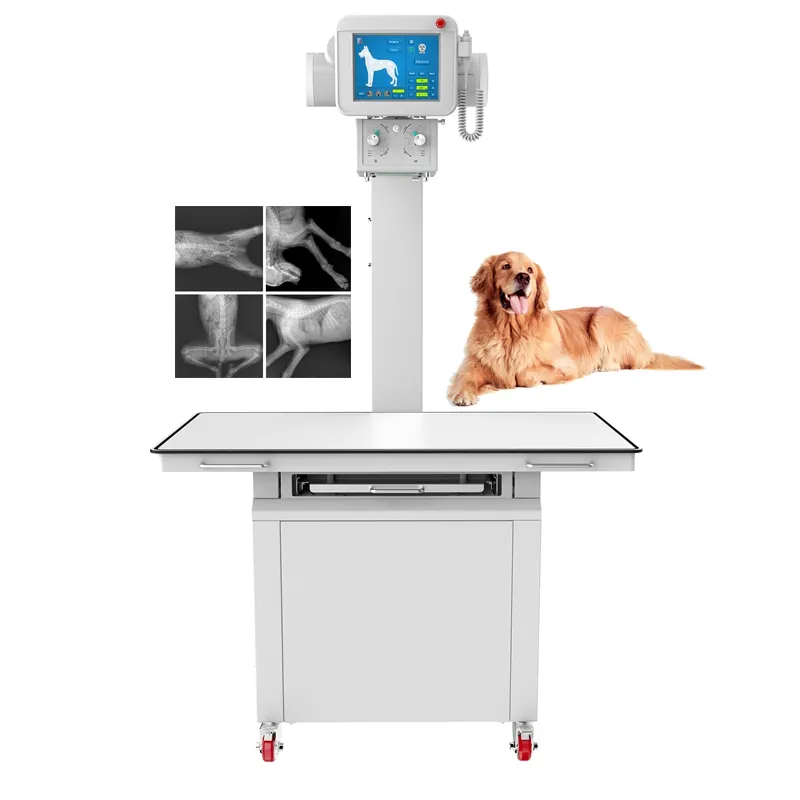 Hochfrequenz 20kW Digital Veterinary Röntgengerät Radiographie Röntgengerät Tierarzt Röntgengerät Preis für Haustier Tier