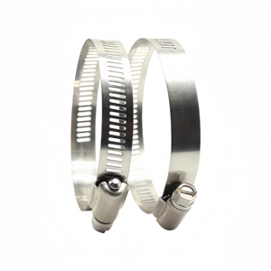 Thép không gỉ và nhựa Metric <span class=keywords><strong>Hose</strong></span> & ống kẹp Hoop kẹp đặt Ô Tô Công cụ cố định - Product Image 6